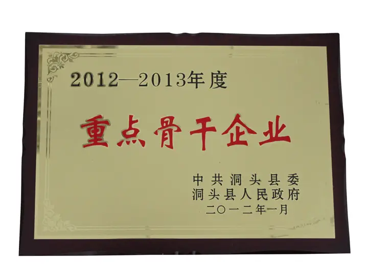 2012-2013年度重点骨干企业